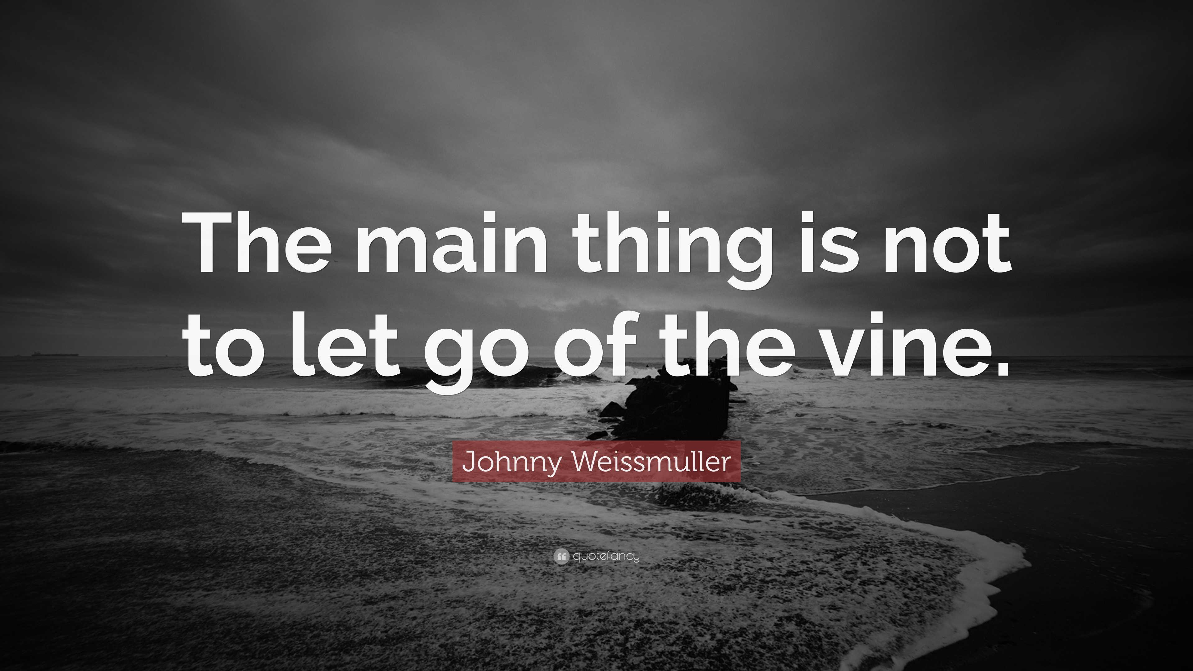 Johnny Weissmuller Quote The Main Thing Is Not To Let Go Of The Vine 