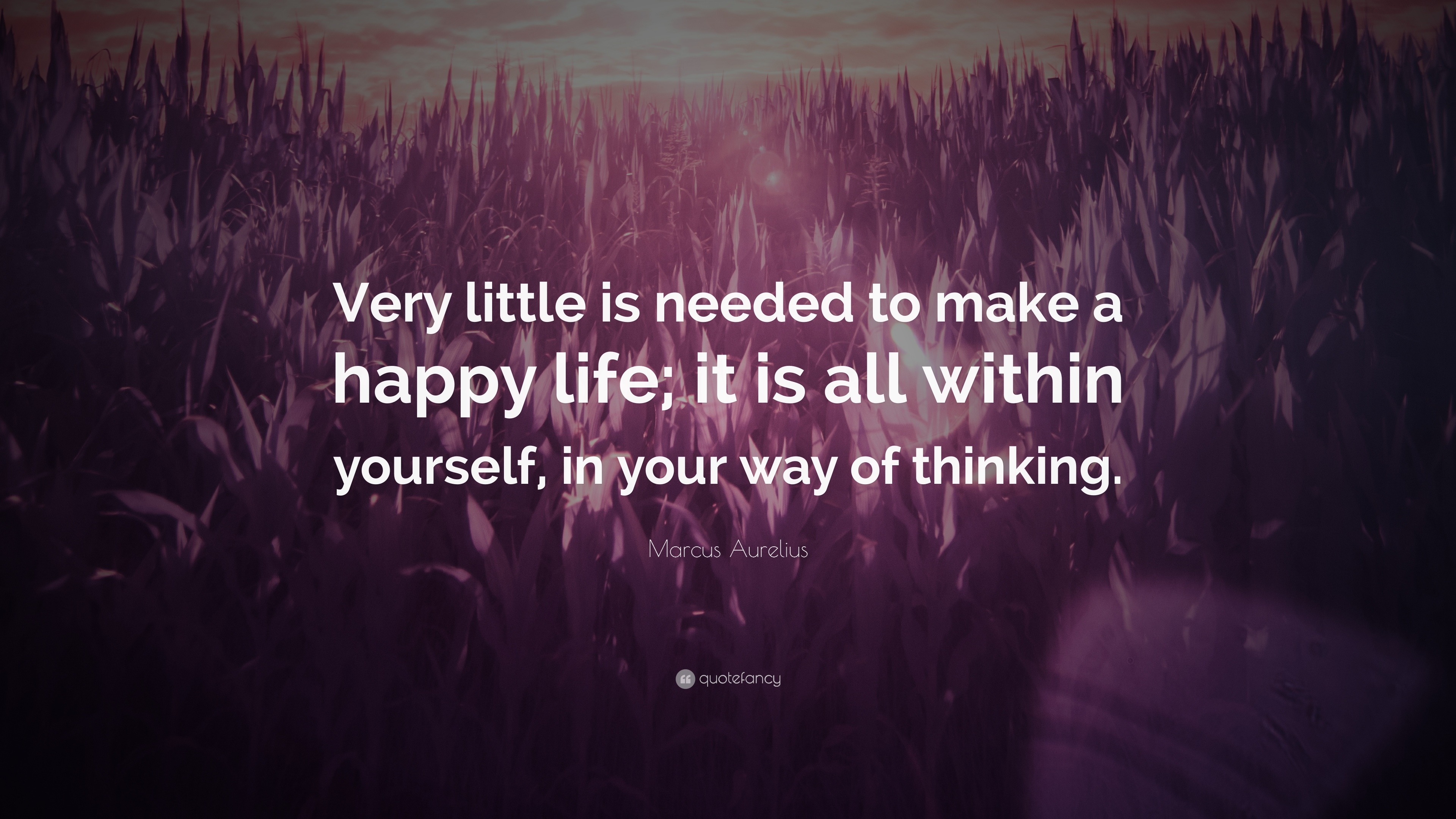 Marcus Aurelius Quote: “Very little is needed to make a happy life; it ...