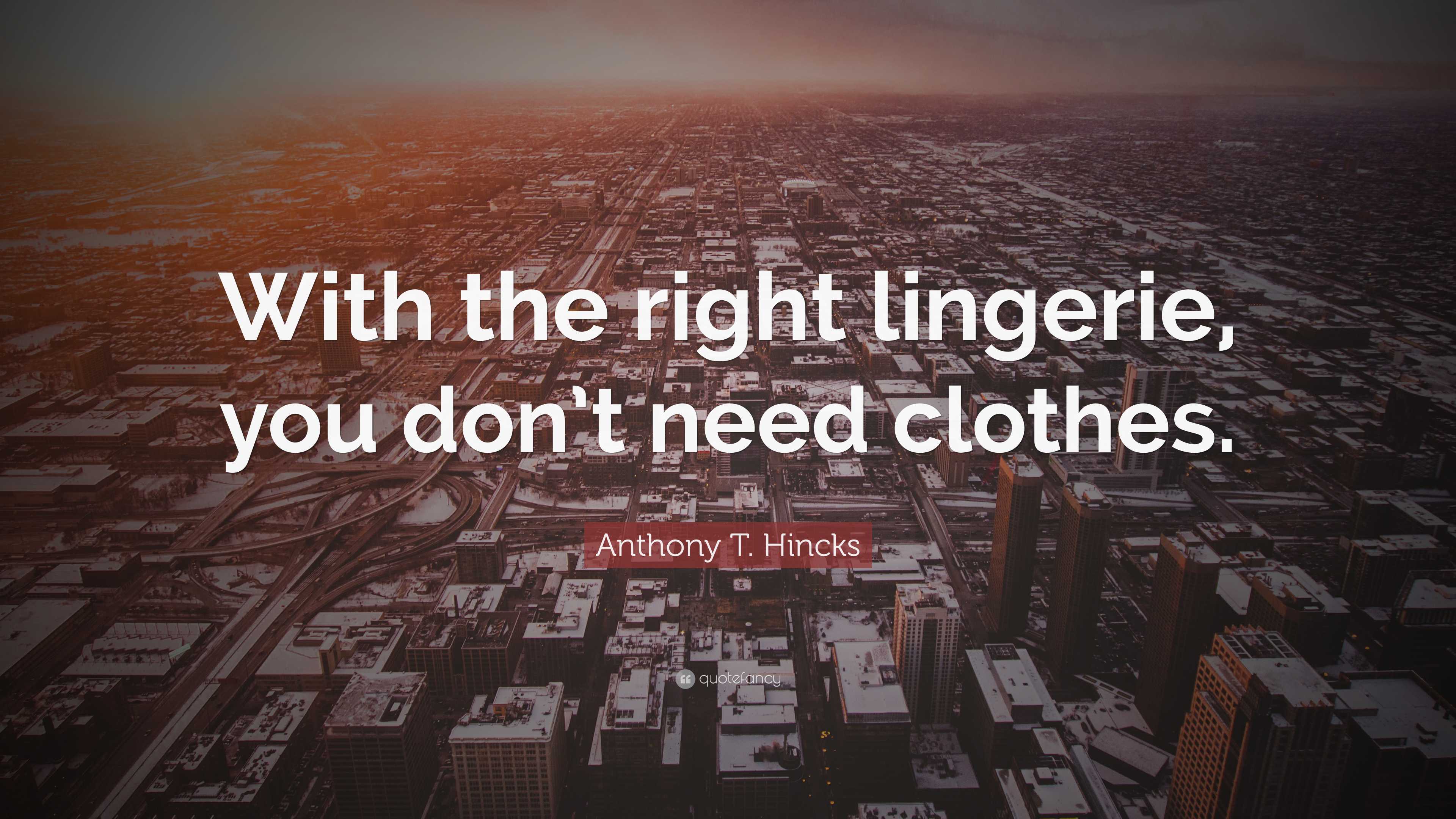 sexy lingerie quotes Karen McDougal main image 0