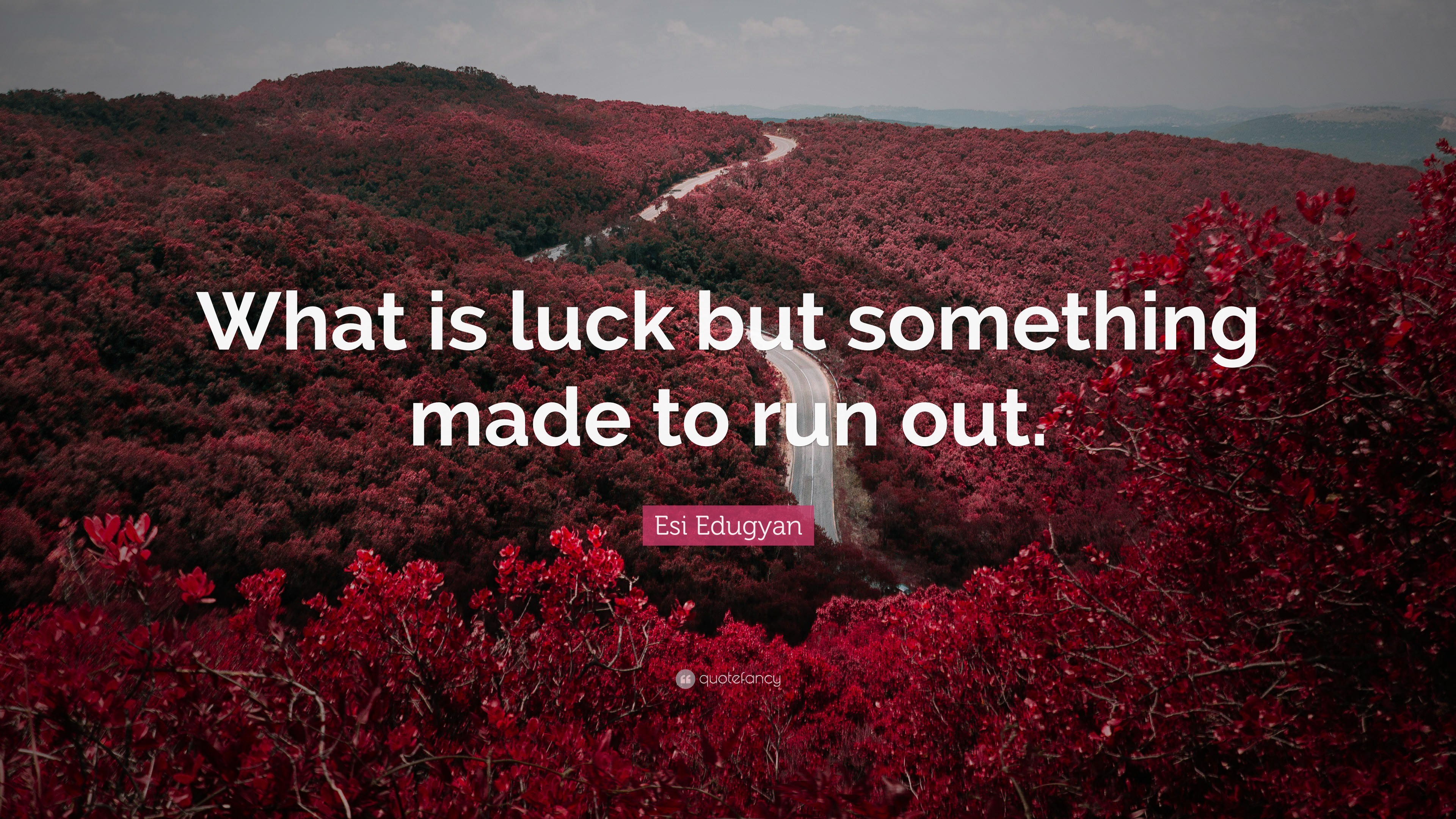 Luck Ran Out Esi Edugyan Quote: “What is luck but something made to run out.”