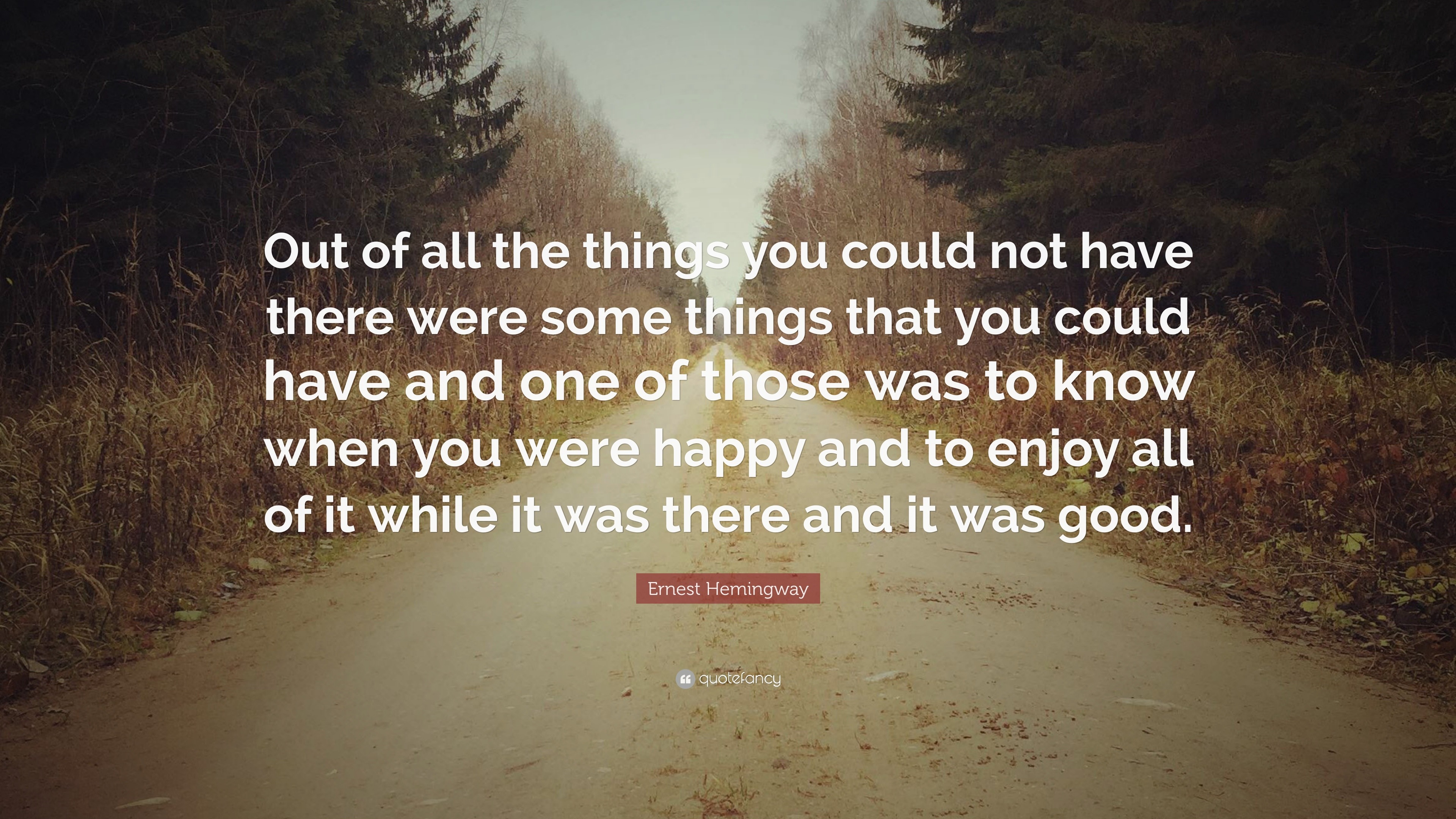 Ernest Hemingway Quote: “Out of all the things you could not have there ...