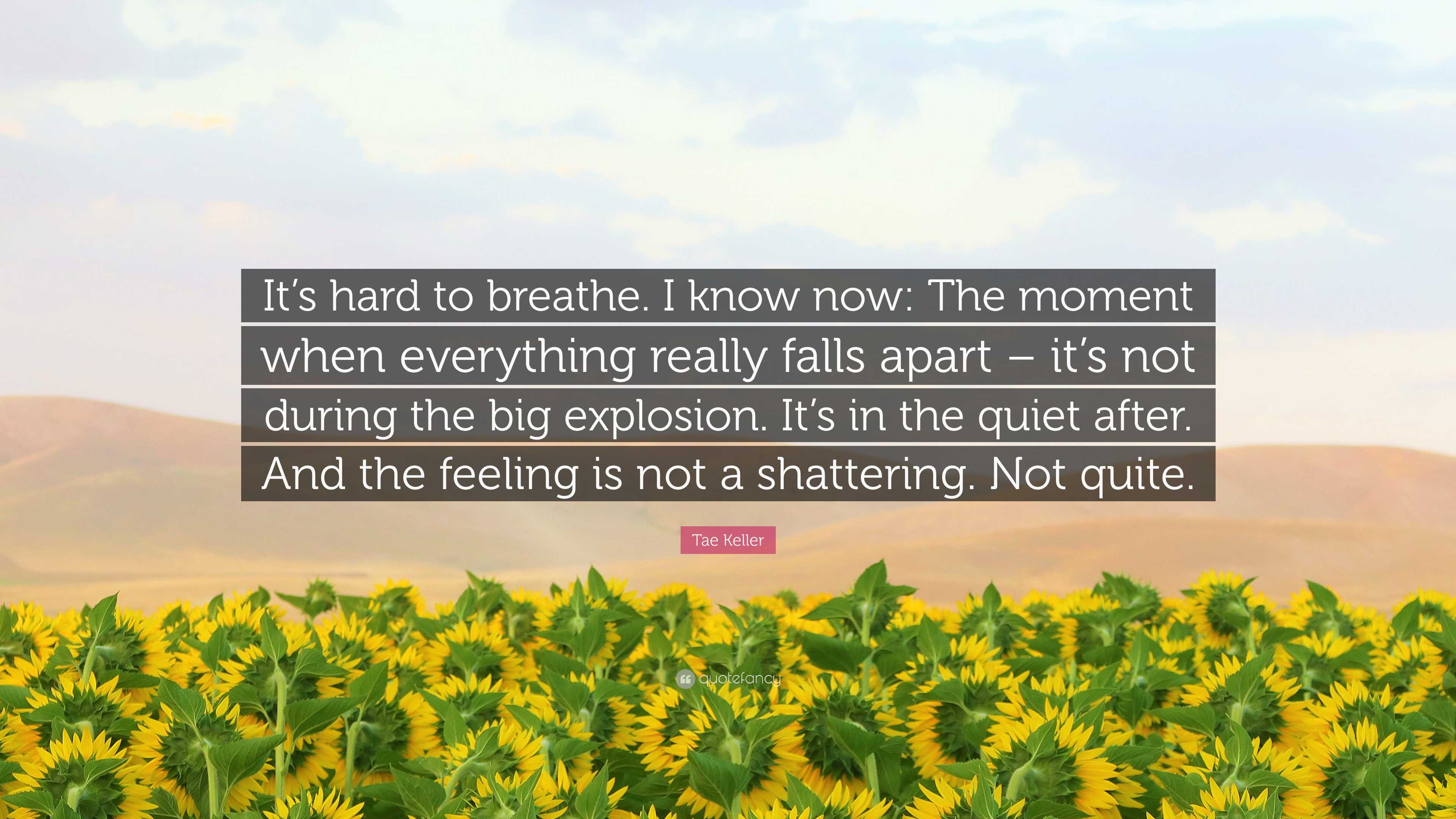 Tae Keller Quote: “It’s hard to breathe. I know now: The moment when ...