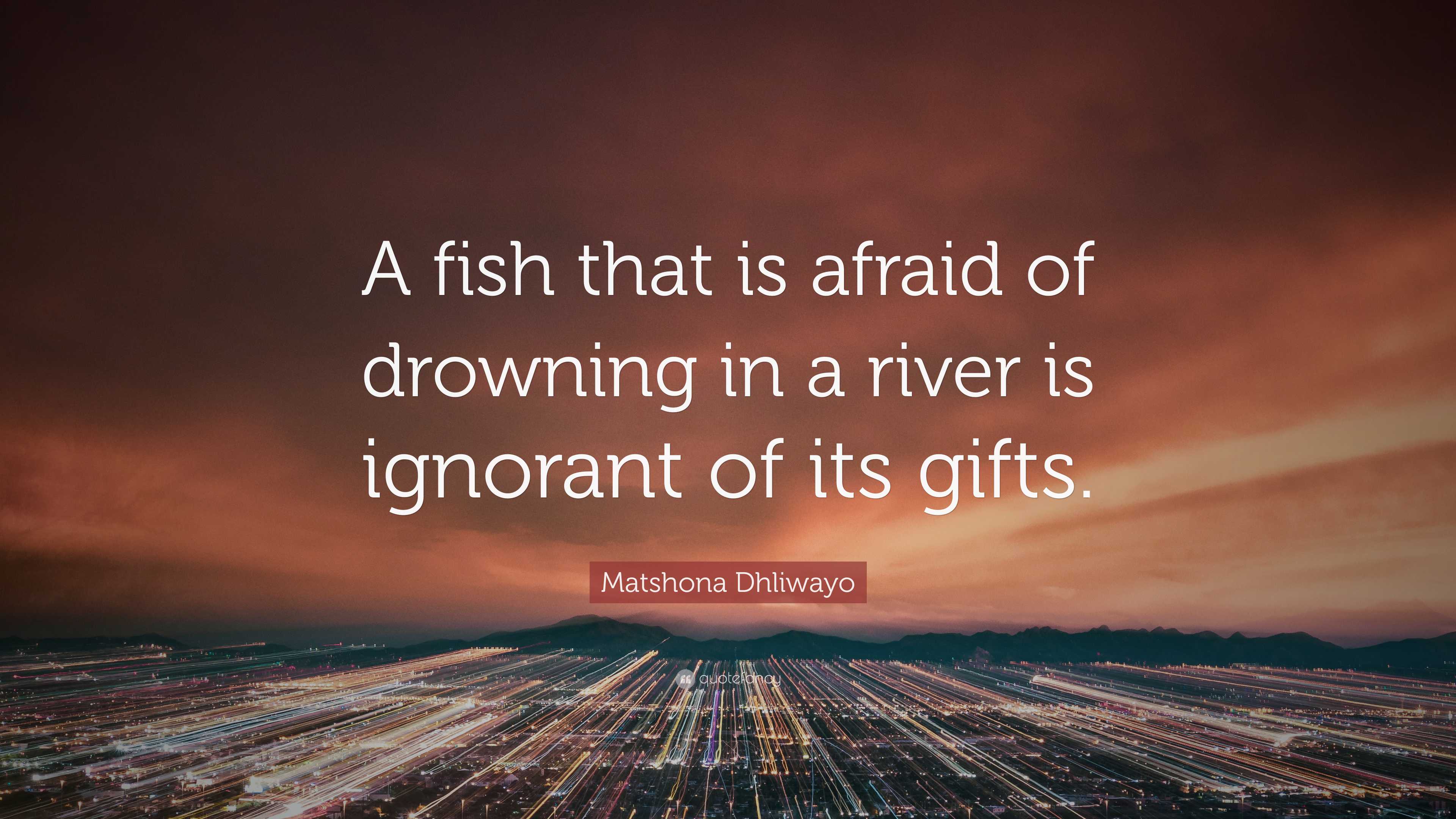 Matshona Dhliwayo Quote: “A fish that is afraid of drowning in a river ...