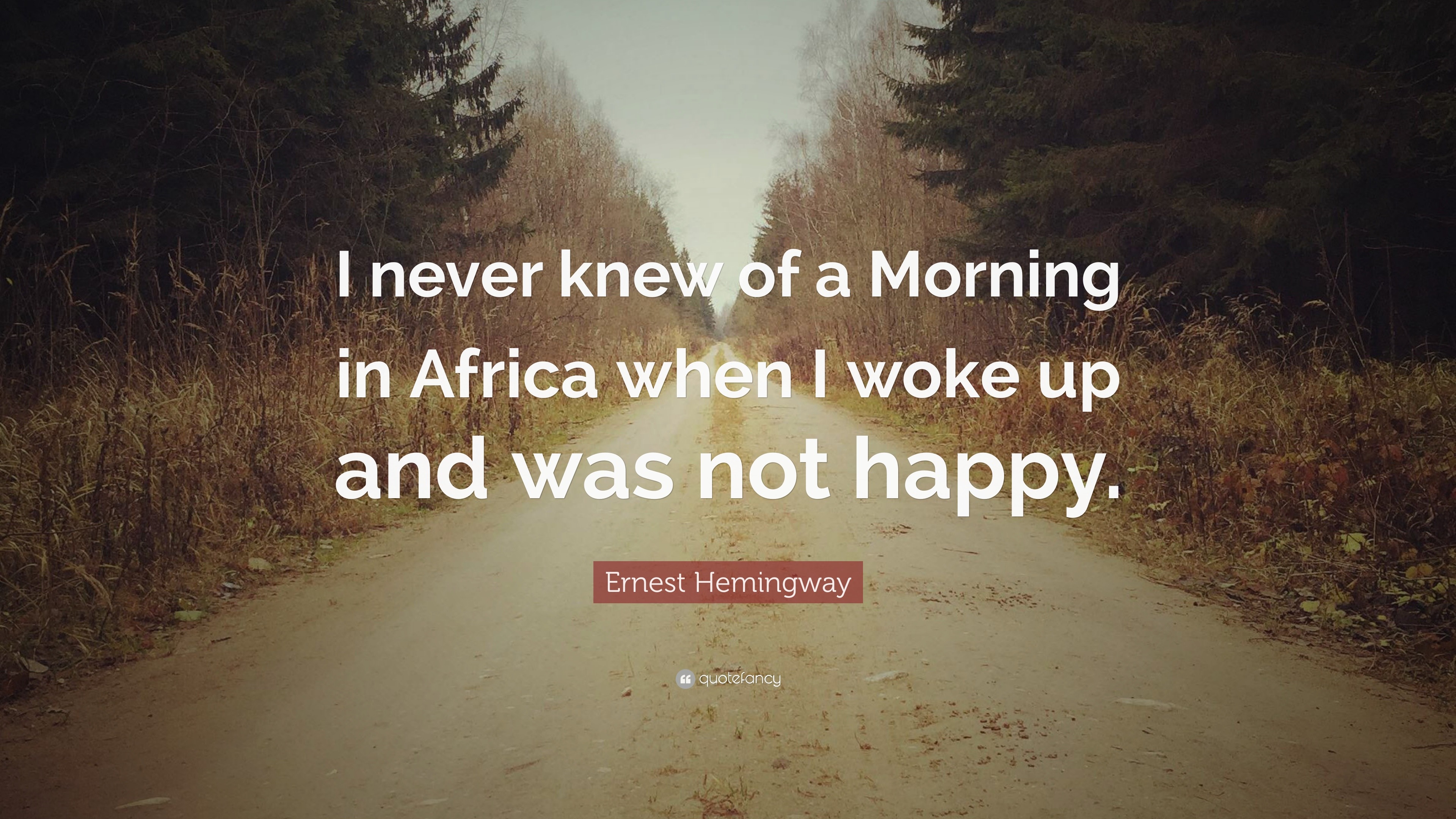 Ernest Hemingway Quote: 