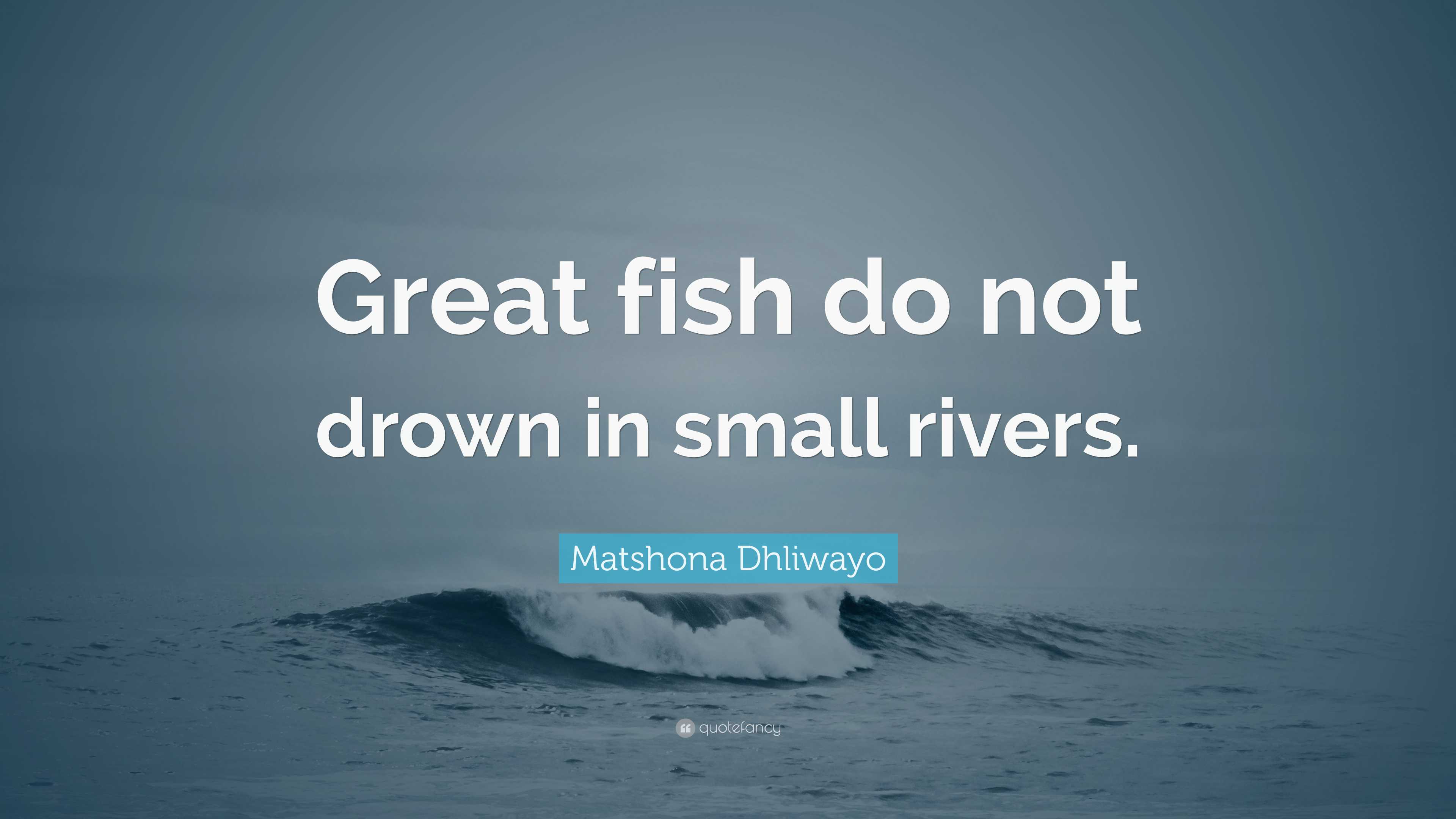 Matshona Dhliwayo Quote: "Great fish do not drown in small rivers."