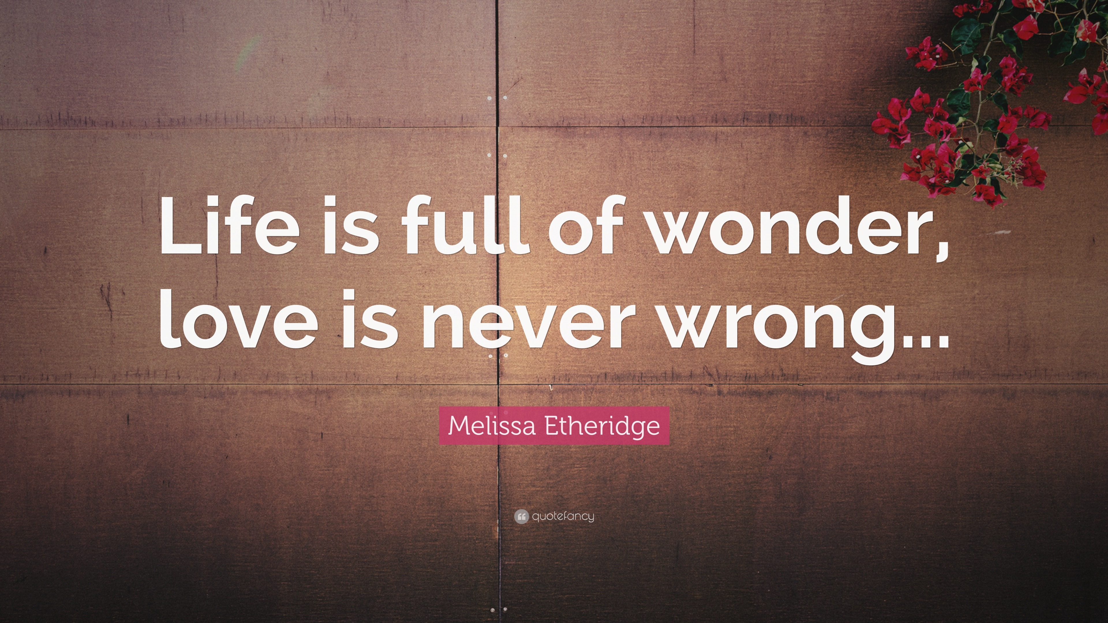 Melissa Etheridge Quote “Life is full of wonder love is never wrong
