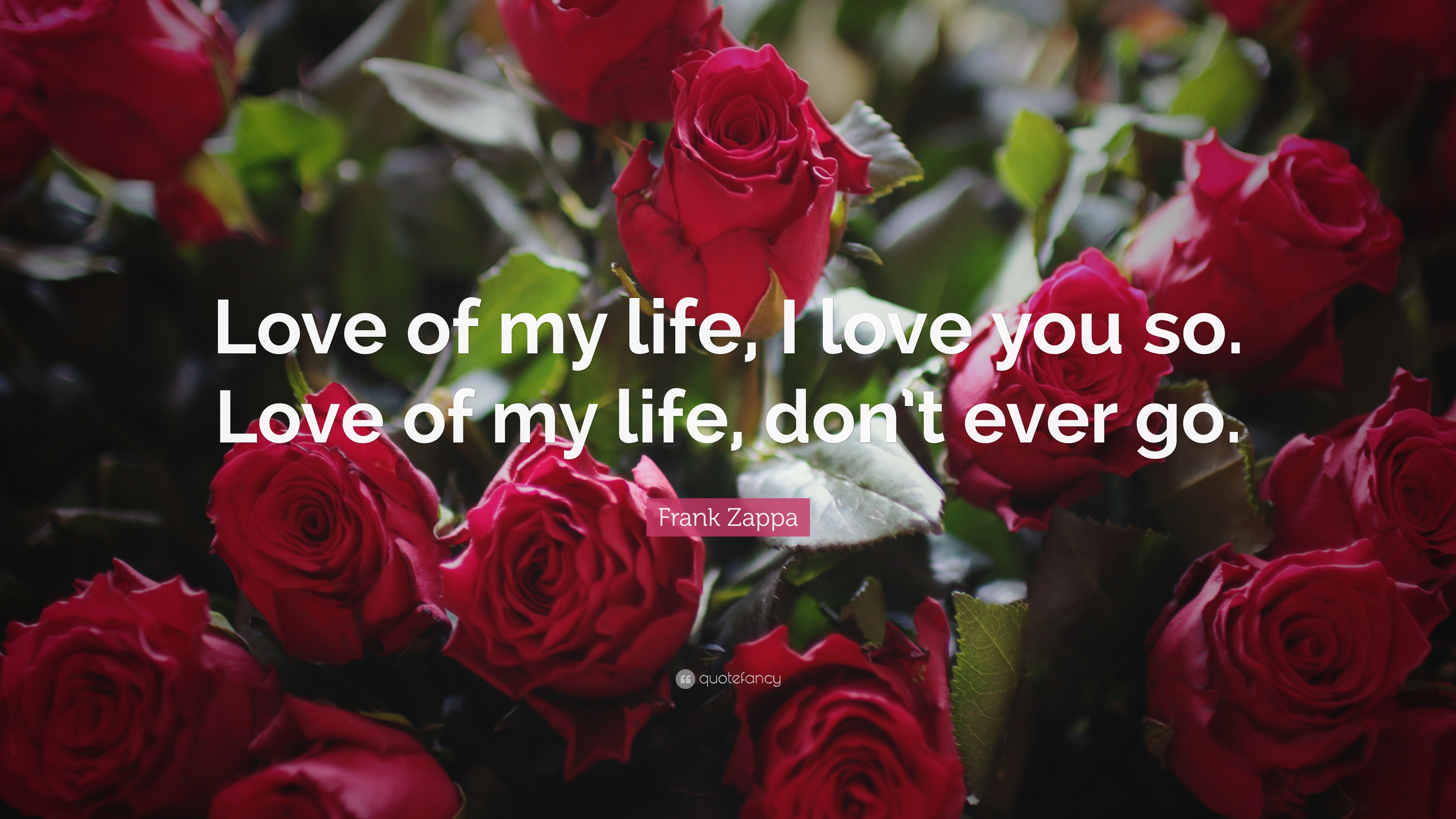 Romantic Quotes “Love of my life I love you so Love of