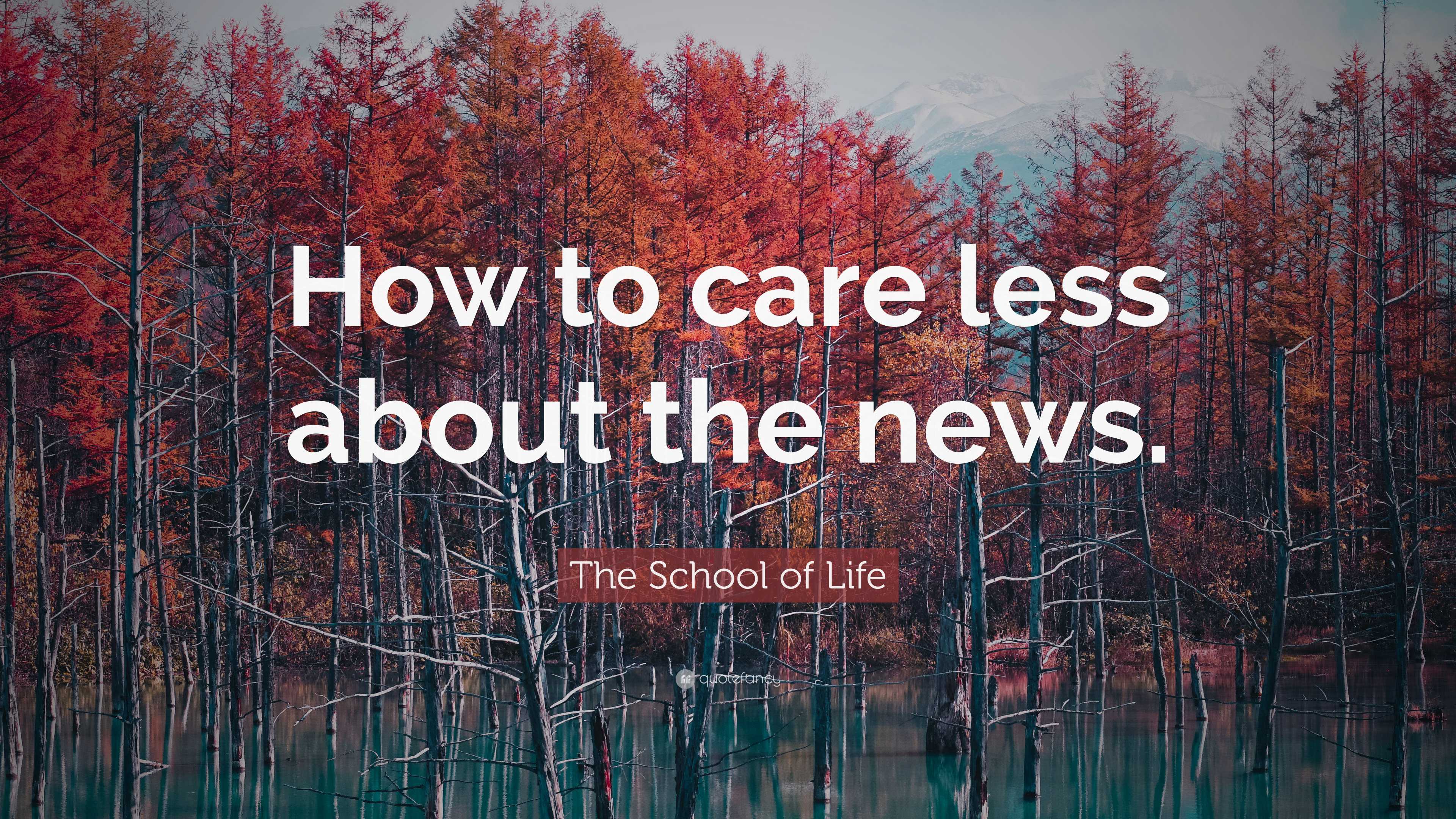 The School of Life Quote: “How to care less about the news.”