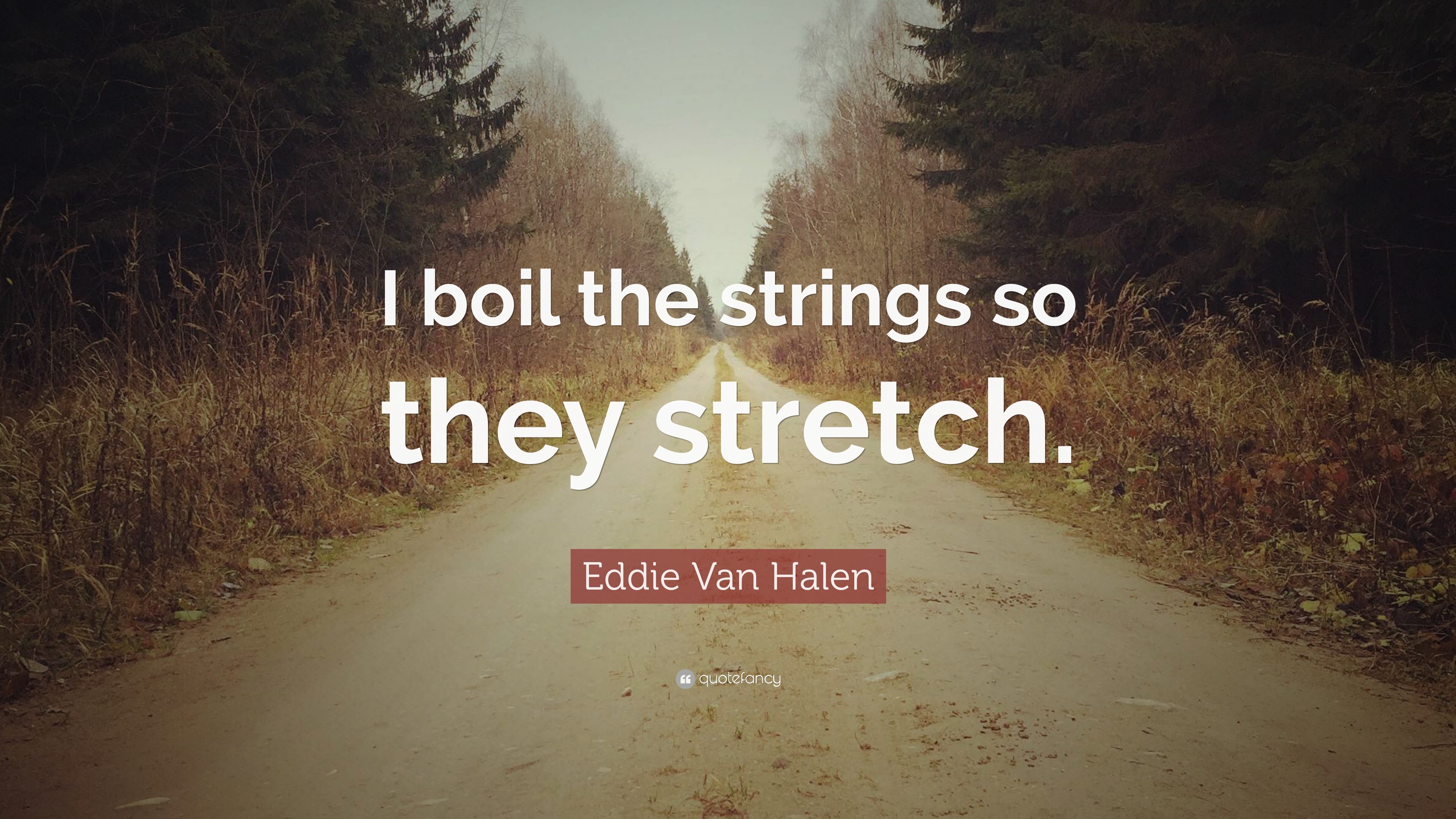 Top 70 Eddie Van Halen Quotes 2024 Update QuoteFancy