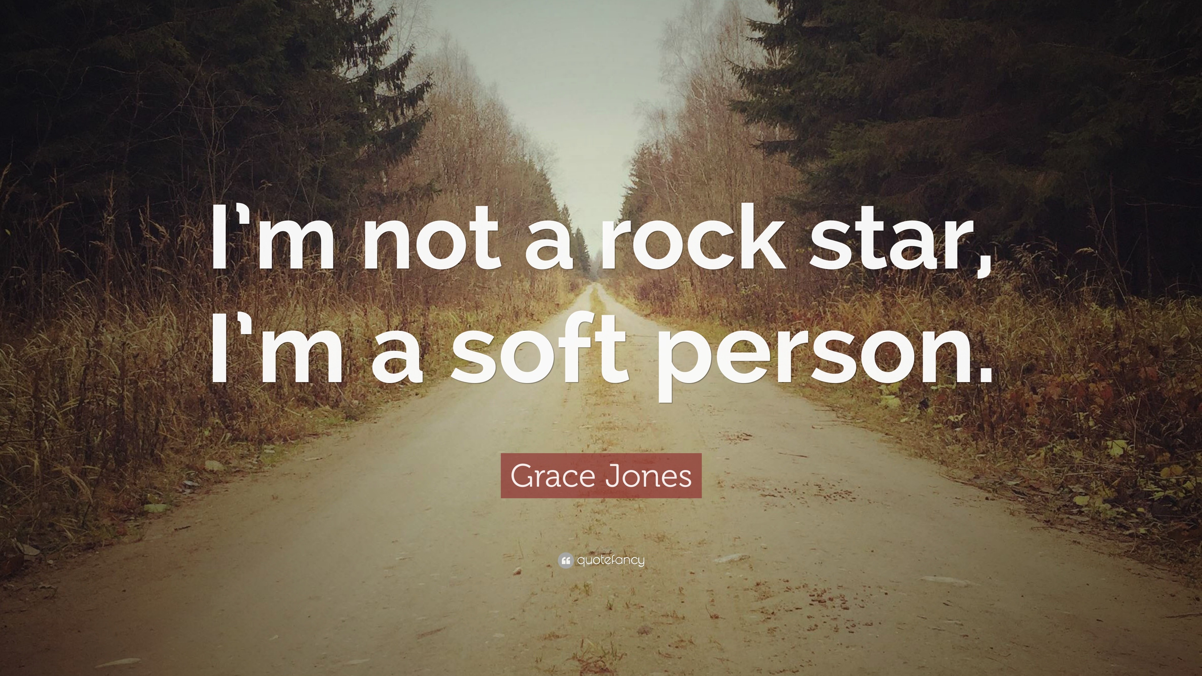 Grace Jones Quote I M Not A Rock Star I M A Soft Person 7 Wallpapers Quotefancy