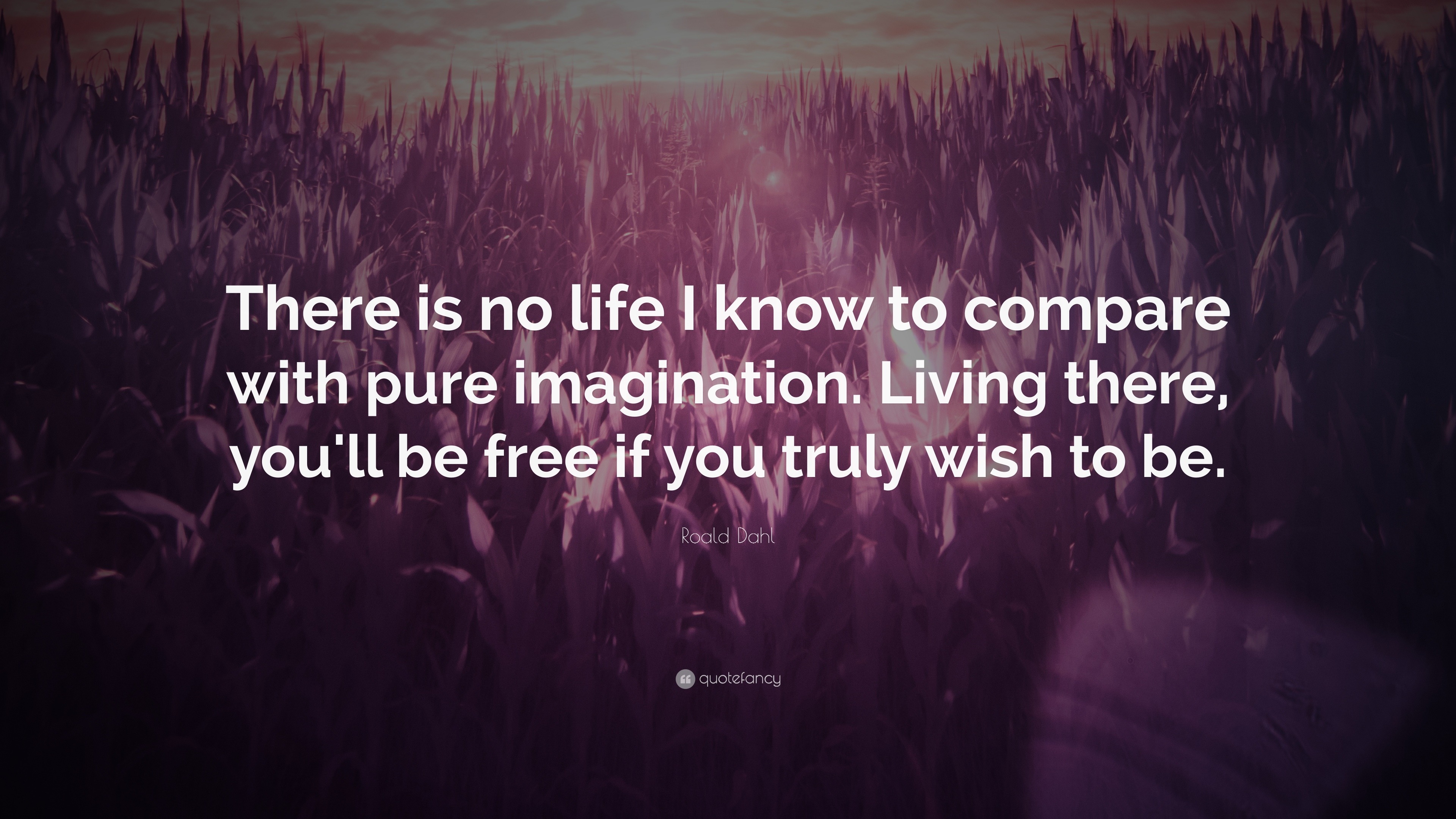 9758 Roald Dahl Quote There is no life I know to compare with pure