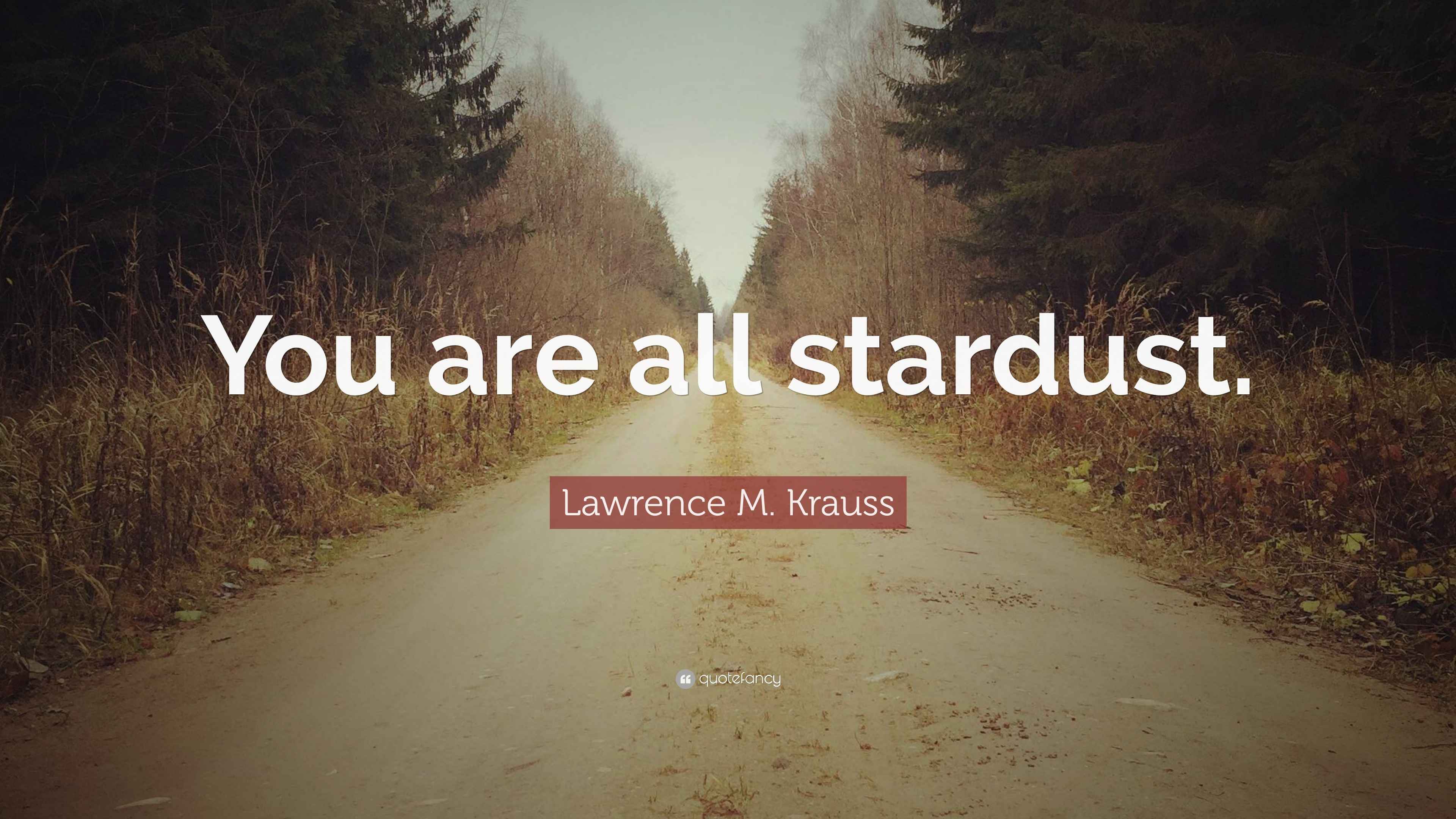Lawrence M. Krauss Quote: “You are all stardust.”