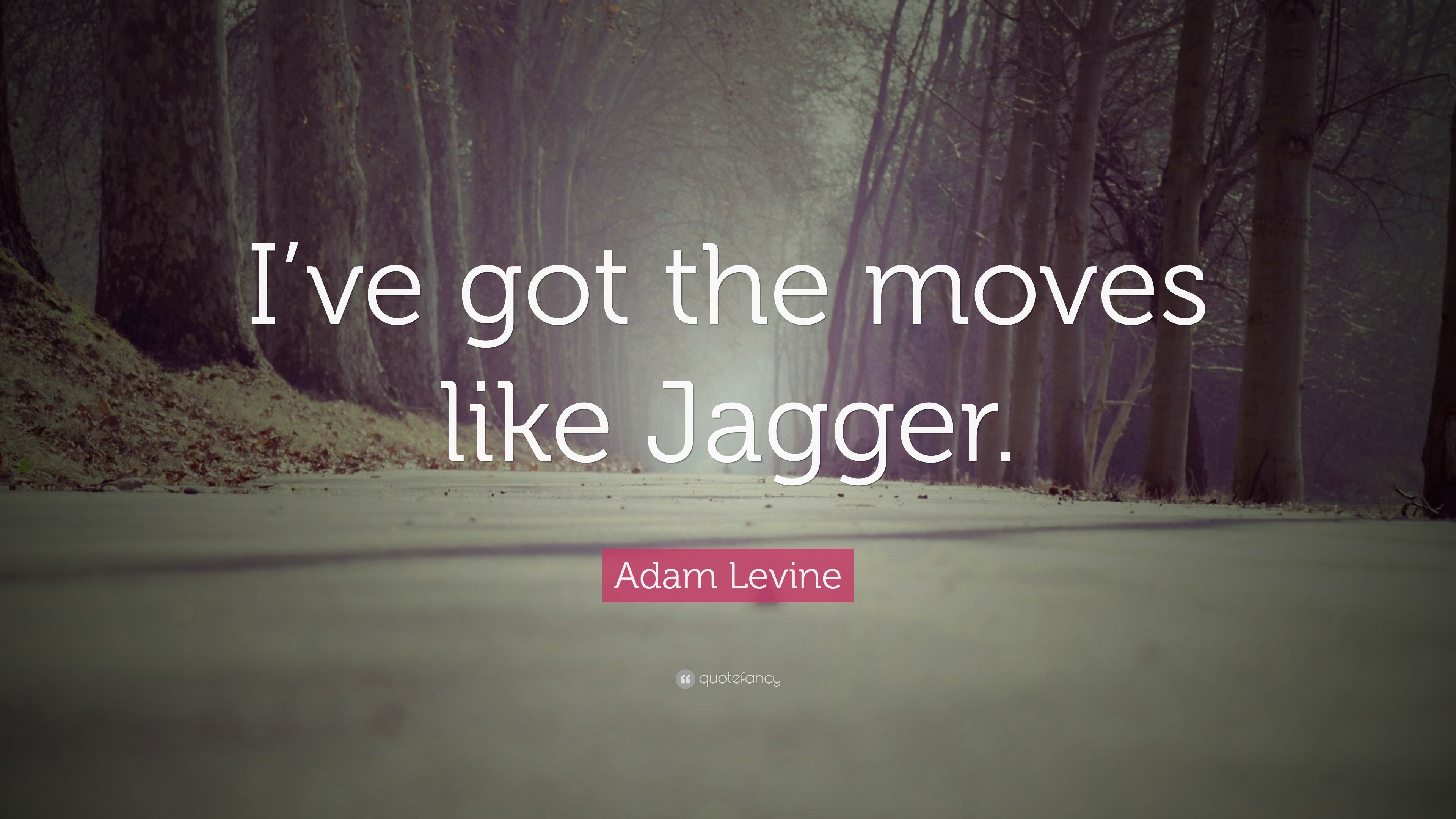 i got the moves like jagger