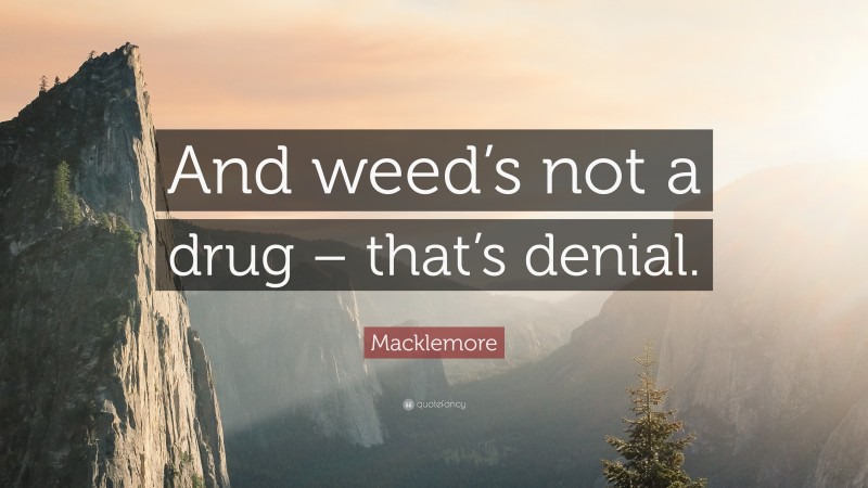 Macklemore Quote: “And weed’s not a drug – that’s denial.”
