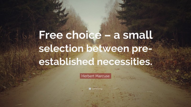 Herbert Marcuse Quote: “Free choice – a small selection between pre-established necessities.”