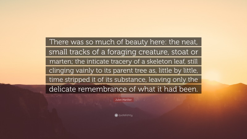 Juliet Marillier Quote: “There was so much of beauty here: the neat, small tracks of a foraging creature, stoat or marten; the inticate tracery of a skeleton leaf, still clinging vainly to its parent tree as, little by little, time stripped it of its substance, leaving only the delicate remembrance of what it had been.”