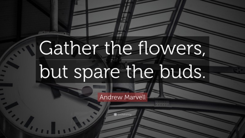 Andrew Marvell Quote: “Gather the flowers, but spare the buds.”