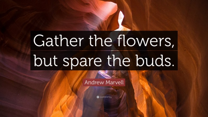 Andrew Marvell Quote: “Gather the flowers, but spare the buds.”