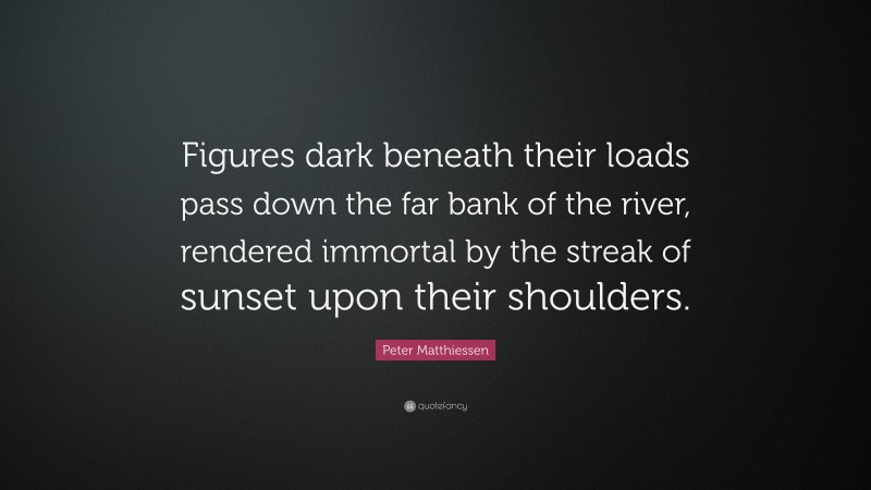 Peter Matthiessen Quote: “Figures dark beneath their loads pass down the far bank of the river, rendered immortal by the streak of sunset upon their shoulders.”