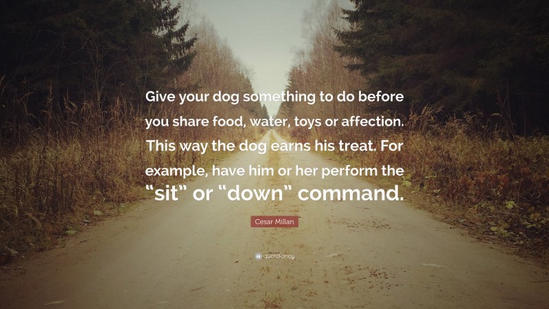 Cesar Millan Quote: “Give your dog something to do before you share food, water, toys or affection. This way the dog earns his treat. For example, have him or her perform the “sit” or “down” command.”