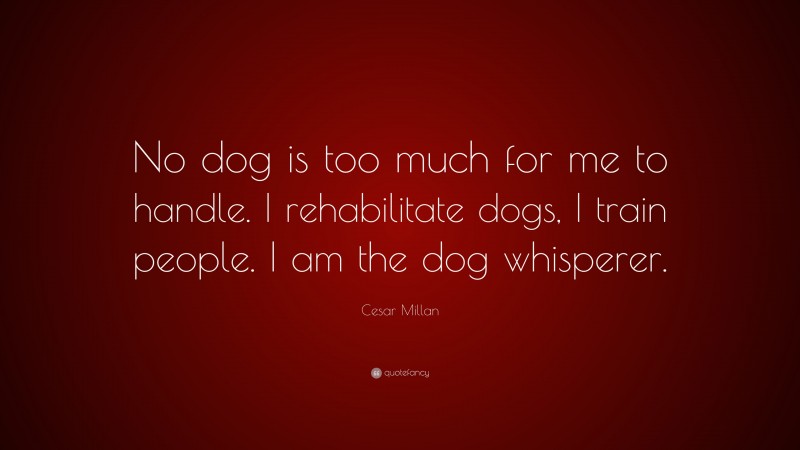 Cesar Millan Quote: “No dog is too much for me to handle. I ...