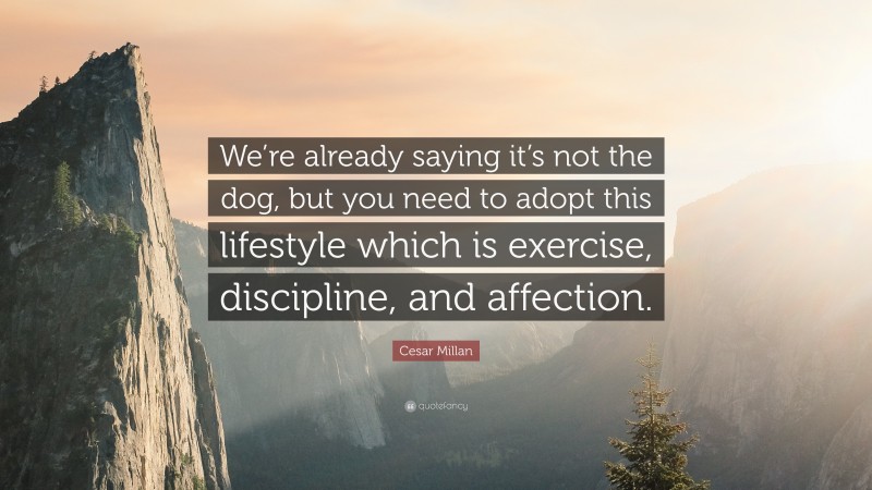 Cesar Millan Quote: “We’re already saying it’s not the dog, but you need to adopt this lifestyle which is exercise, discipline, and affection.”