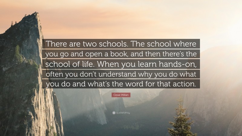 Cesar Millan Quote: “There are two schools. The school where you go and open a book, and then there’s the school of life. When you learn hands-on, often you don’t understand why you do what you do and what’s the word for that action.”