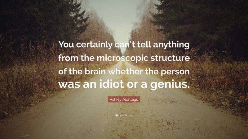 Ashley Montagu Quote: “You certainly can’t tell anything from the microscopic structure of the brain whether the person was an idiot or a genius.”