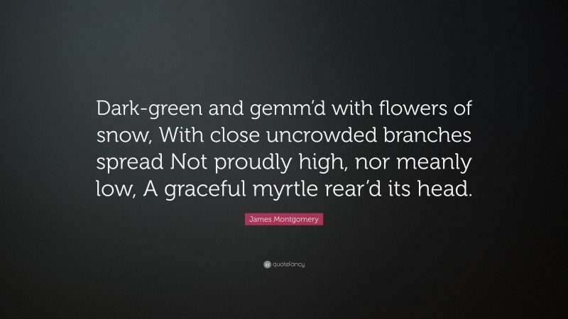James Montgomery Quote: “Dark-green and gemm’d with flowers of snow, With close uncrowded branches spread Not proudly high, nor meanly low, A graceful myrtle rear’d its head.”