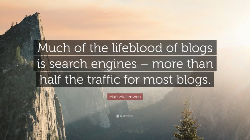 Matt Mullenweg Quote: “Much of the lifeblood of blogs is search engines – more than half the traffic for most blogs.”