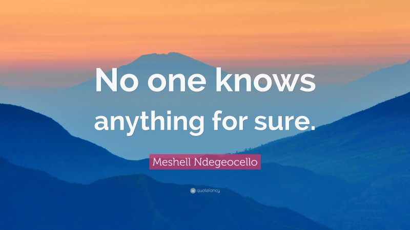 Meshell Ndegeocello Quote: “No one knows anything for sure.”