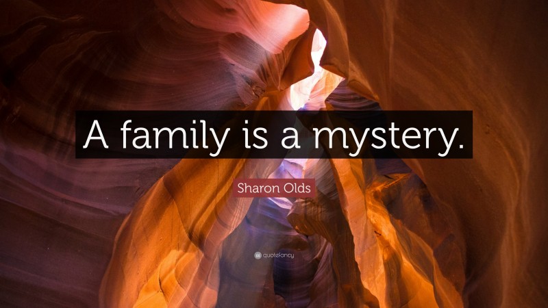 Sharon Olds Quote: “A family is a mystery.”