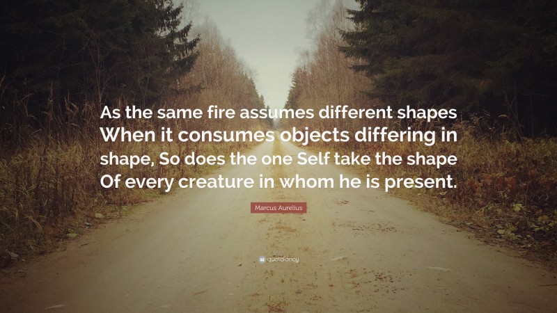 Marcus Aurelius Quote: “As the same fire assumes different shapes When it consumes objects differing in shape, So does the one Self take the shape Of every creature in whom he is present.”