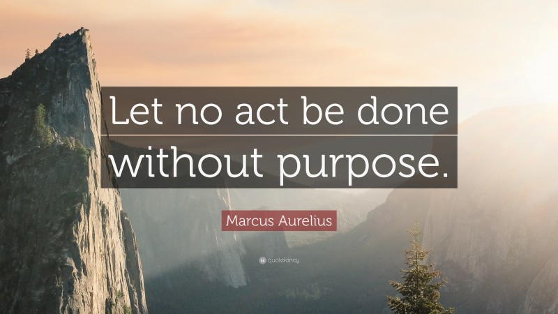 Marcus Aurelius Quote: “Let no act be done without purpose.”