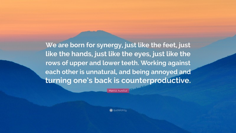 Marcus Aurelius Quote: “We are born for synergy, just like the feet, just like the hands, just like the eyes, just like the rows of upper and lower teeth. Working against each other is unnatural, and being annoyed and turning one’s back is counterproductive.”