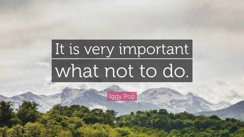 Iggy Pop Quote: “It is very important what not to do.”