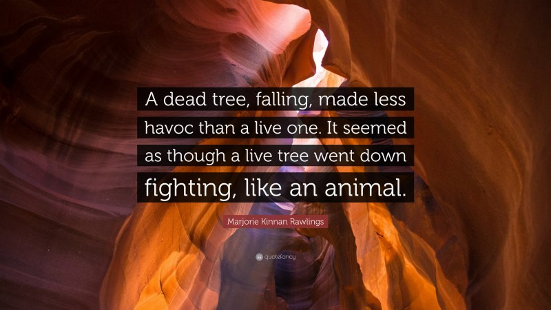 Marjorie Kinnan Rawlings Quote: “A dead tree, falling, made less havoc than a live one. It seemed as though a live tree went down fighting, like an animal.”