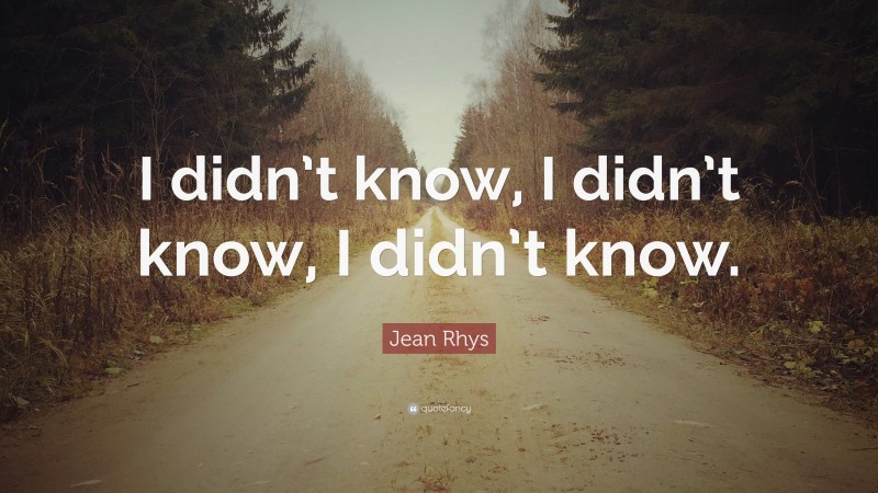 Jean Rhys Quote: “I didn’t know, I didn’t know, I didn’t know.”
