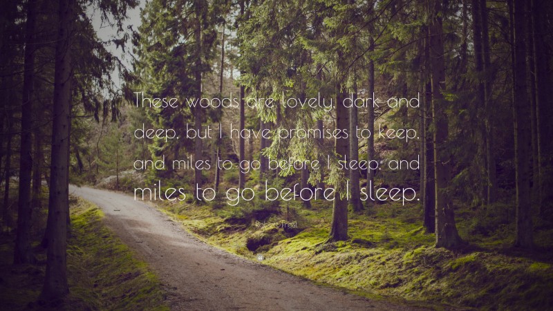 Robert Frost Quote: “The woods are lovely, dark and deep, but I have promises to keep, and miles to go before I sleep, and miles to go before I sleep.”