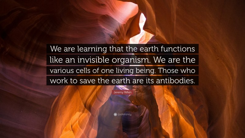 Jeremy Rifkin Quote: “We are learning that the earth functions like an invisible organism. We are the various cells of one living being. Those who work to save the earth are its antibodies.”