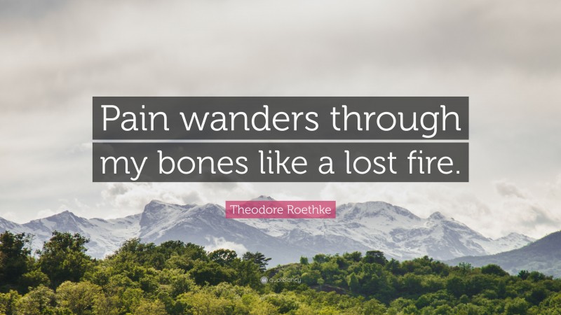 Theodore Roethke Quote: “Pain wanders through my bones like a lost fire.”