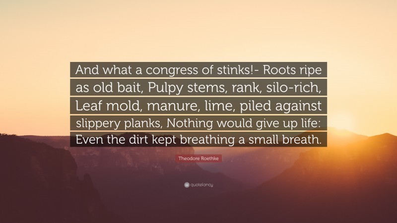 Theodore Roethke Quote: “And what a congress of stinks!- Roots ripe as old bait, Pulpy stems, rank, silo-rich, Leaf mold, manure, lime, piled against slippery planks, Nothing would give up life: Even the dirt kept breathing a small breath.”
