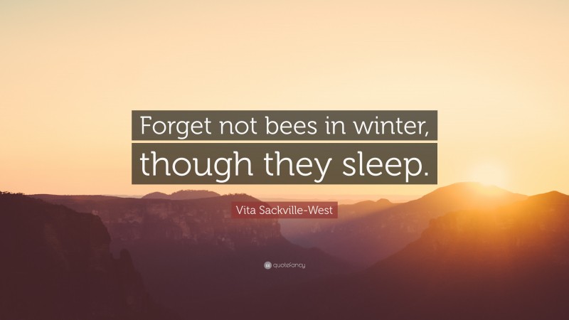 Vita Sackville-West Quote: “Forget not bees in winter, though they sleep.”