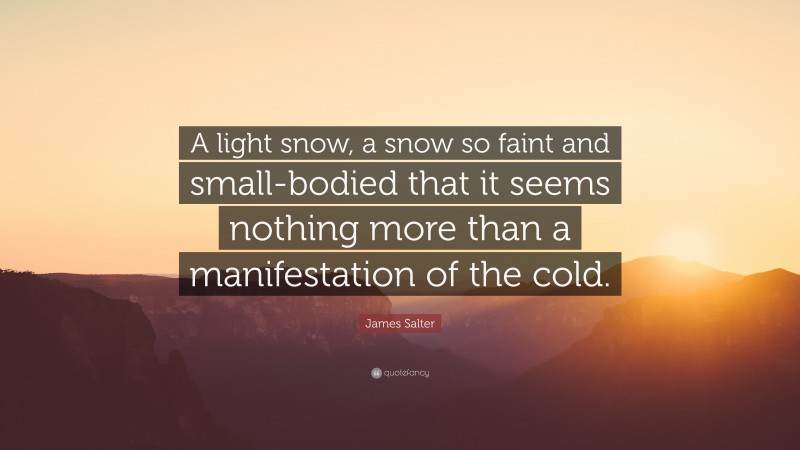 James Salter Quote: “A light snow, a snow so faint and small-bodied that it seems nothing more than a manifestation of the cold.”