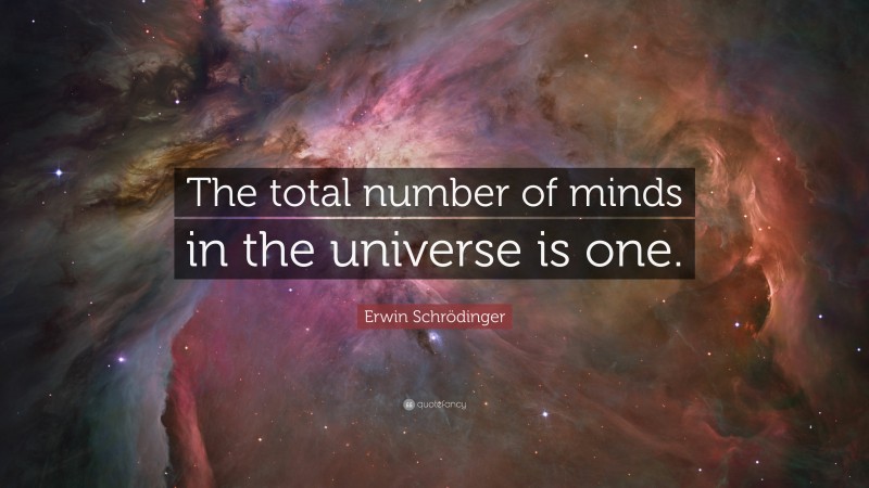 Erwin Schrödinger Quote: “The total number of minds in the universe is one.”