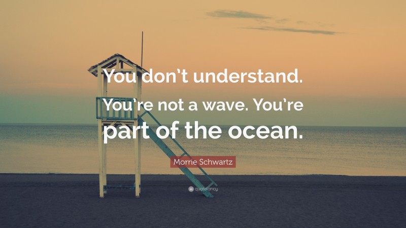 Morrie Schwartz Quote: “You don’t understand. You’re not a wave. You’re part of the ocean.”