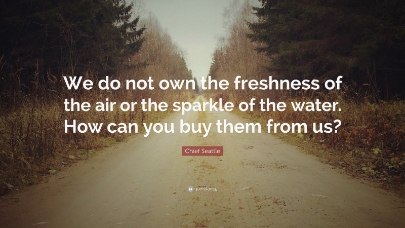 Chief Seattle Quote: “We do not own the freshness of the air or the sparkle of the water. How can you buy them from us?”