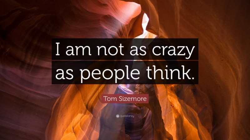 Tom Sizemore Quote: “I am not as crazy as people think.”