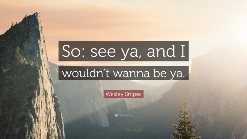 Wesley Snipes Quote: “So: see ya, and I wouldn’t wanna be ya.”