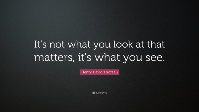 Henry David Thoreau Quote: “It’s not what you look at that matters, it ...